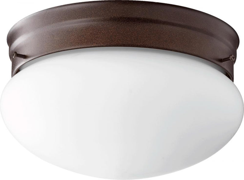 Transitional 2 Light Ceiling Mount, 9.75" Wide