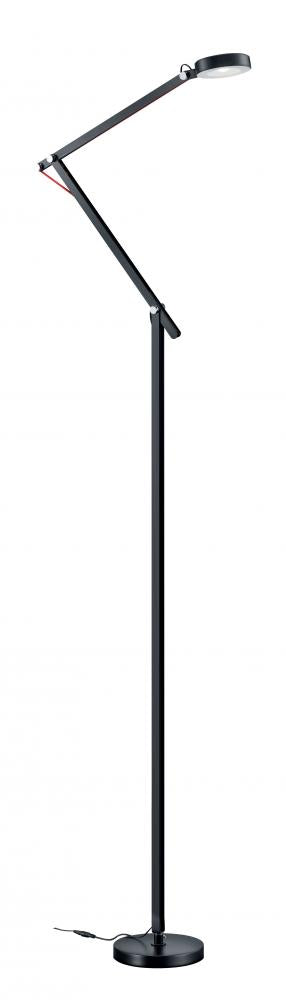 Amsterdam  LED Floor Lamp