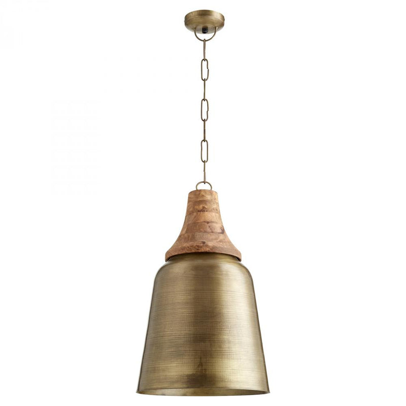 Transitional 1 Light Pendant