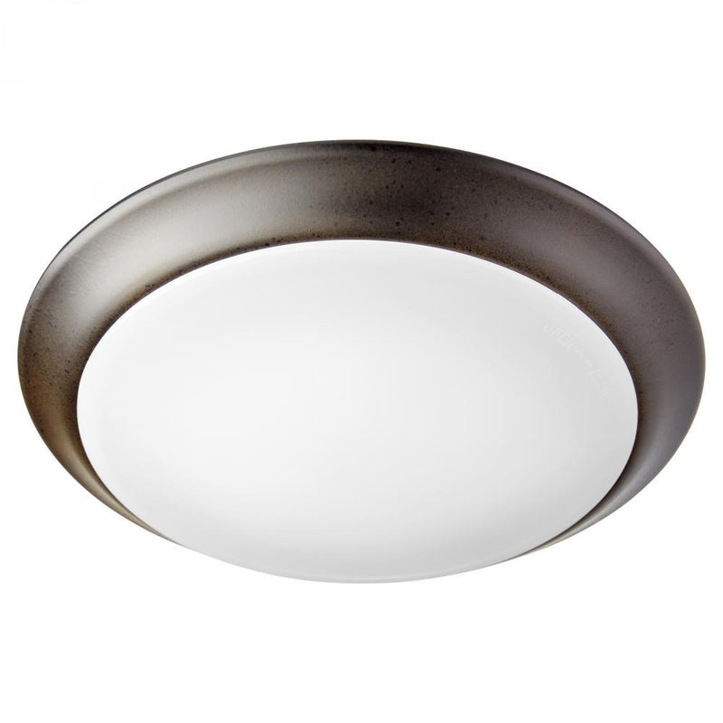 Transitional 1 Light Ceiling Mount, 9.5" Wide